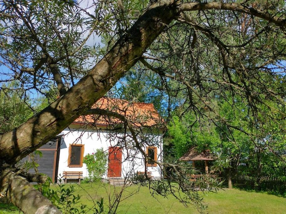 Wigierska Holiday home *