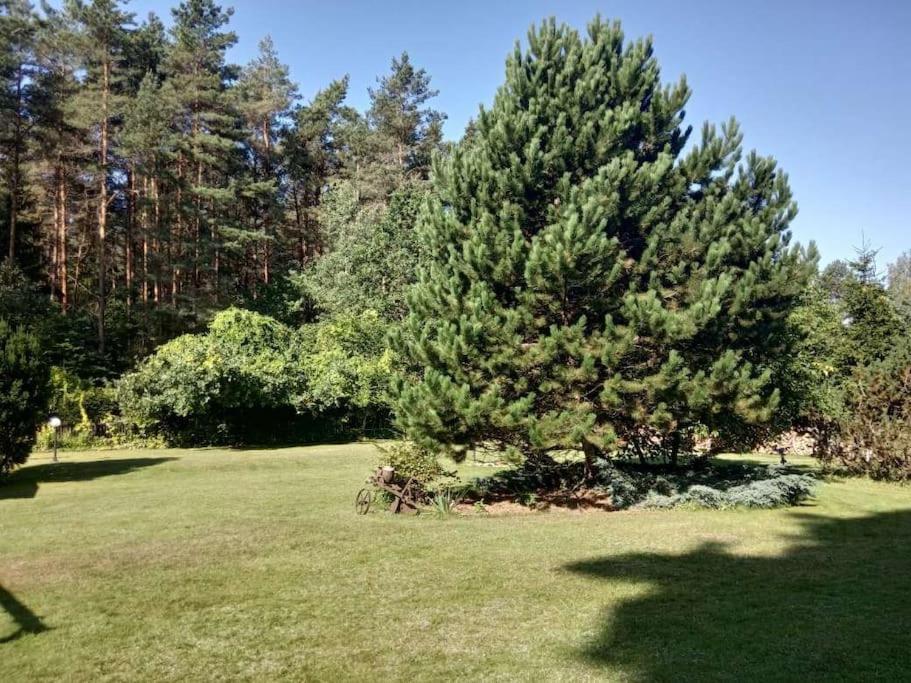 Holiday home Wigierska