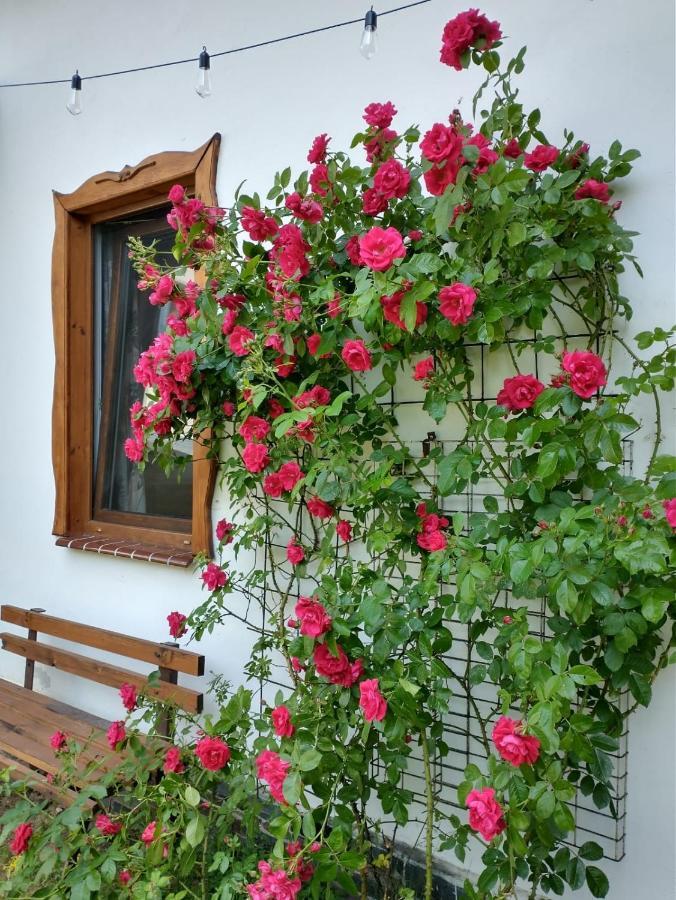 Wigierska Holiday home Gawrych Ruda